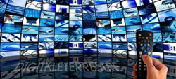 Fotografia:  - 